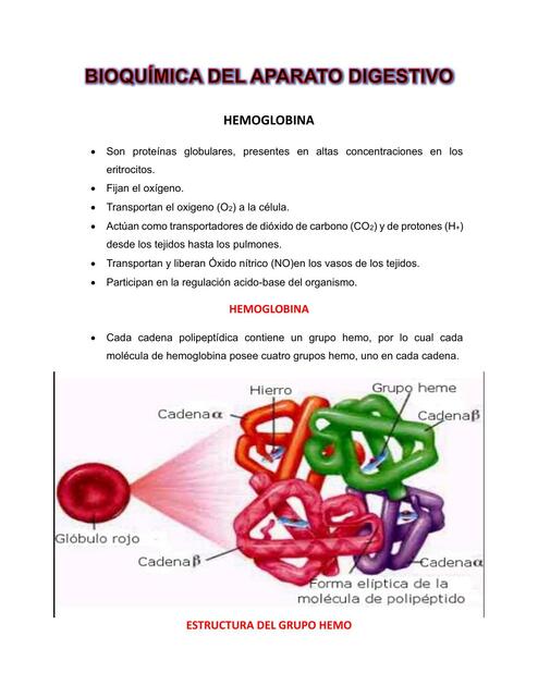 Bioquimica del aparato respiratorio