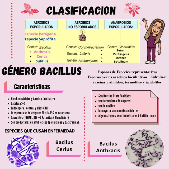 BACTERIAS 2