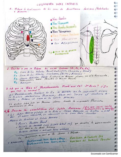 Semiologia Tórax Cardiaco