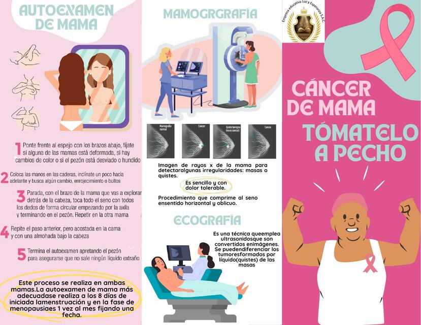 Tríptico sobre cáncer de mama y hábitos saludables