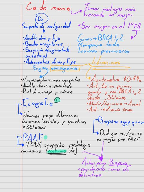 GinecologiaCademamá