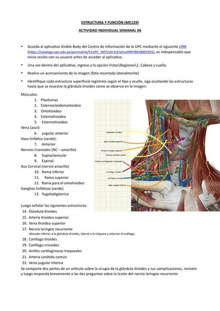 EyF Tarea semana 4 Josseph Bernabe