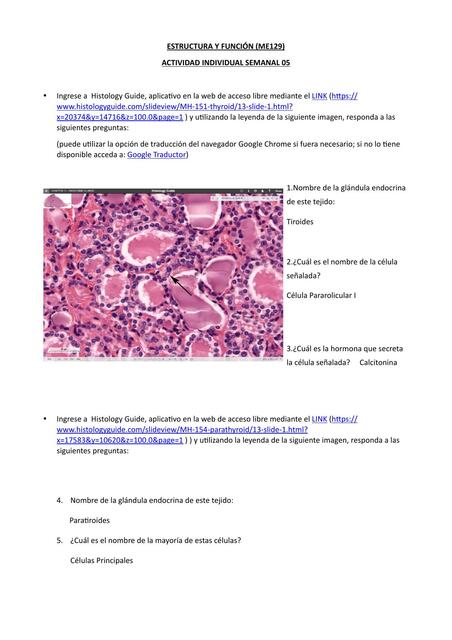 EyF Tarea Semana 5 Josseph Bernabe