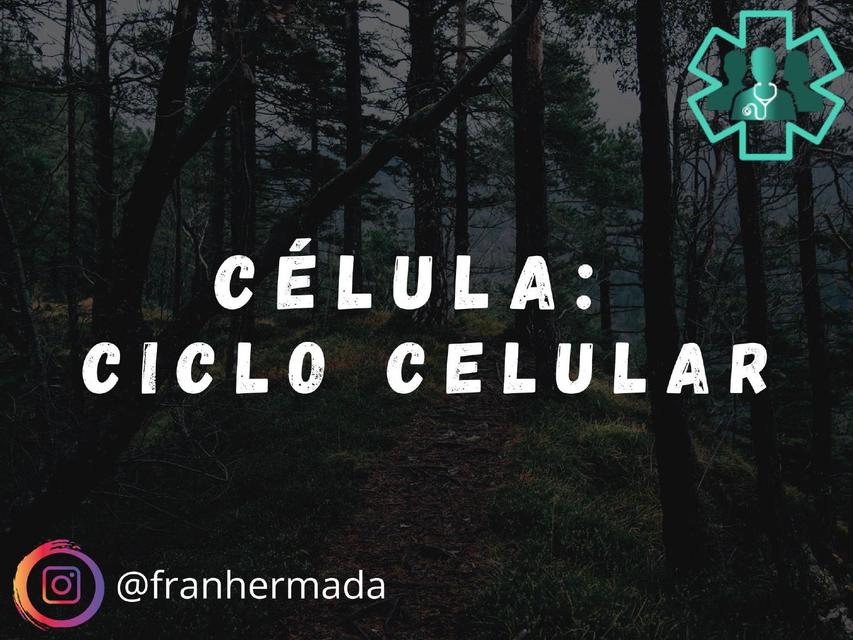 Célula: ciclo