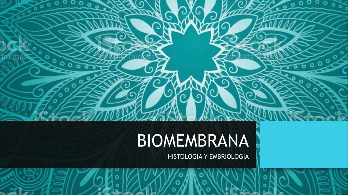 BIOMEMBRANA