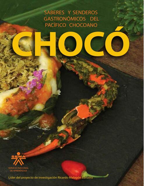 LIBRO CHOCO2 imprenta 1