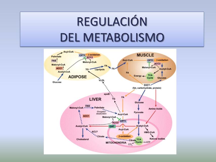 Química Uabp 1 Juana Galetto Udocz