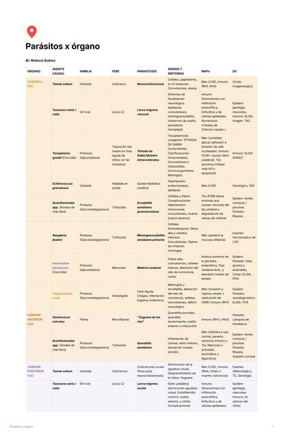 Clasificación Parásitos x órgano - Br Rebeca Suárez
