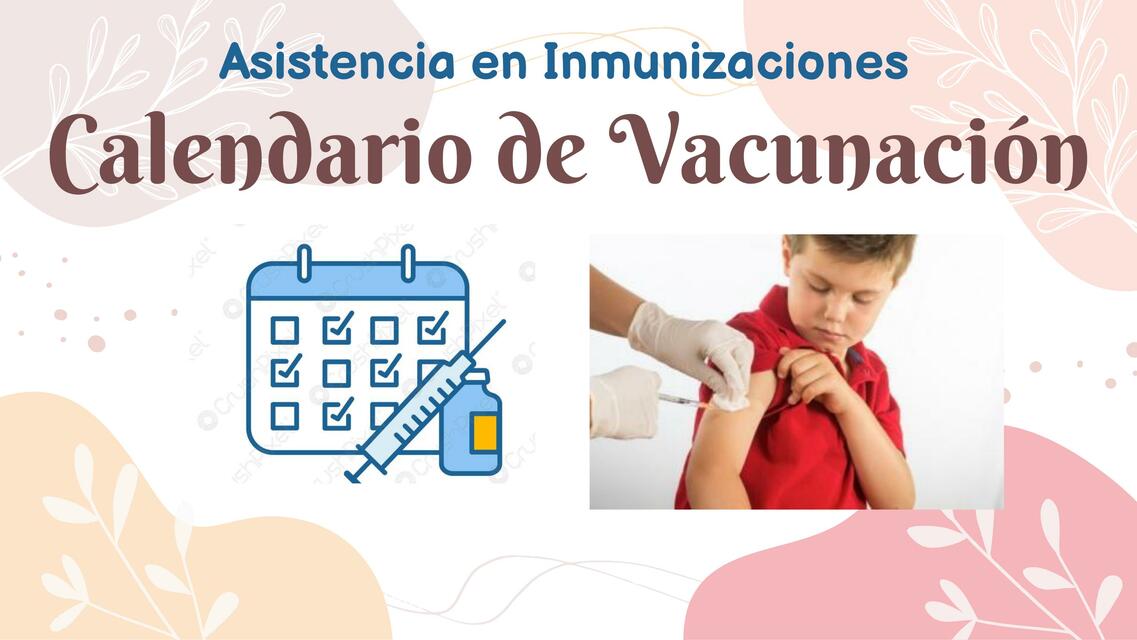 Calendario de vacunacion