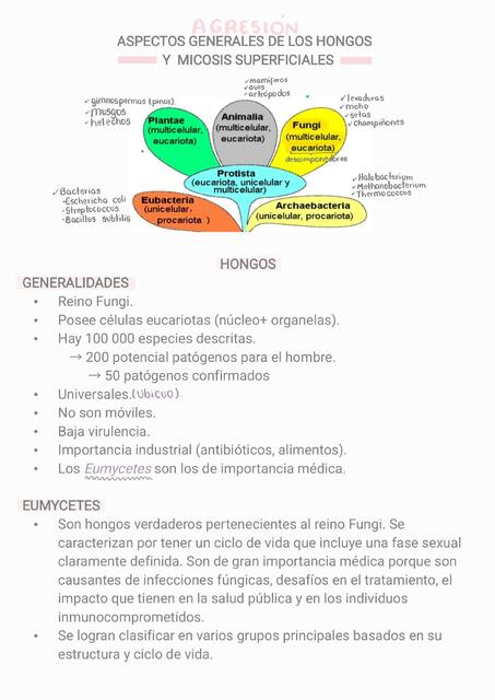 Aspectos generales de los hongos y micosis superficiales.