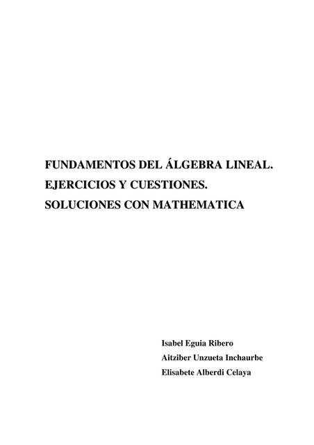 MATRIZ DETERMINANTE Ejercicios I EGUIA A UNZUETA E