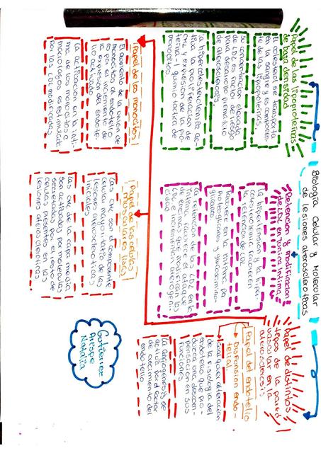 Biología Molecular