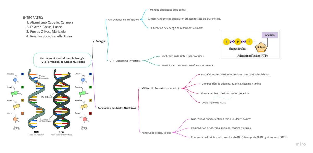 Mapa mental