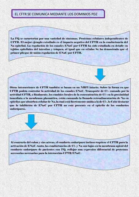 El CFTR se Comunica Mediante los Dominios PDZ