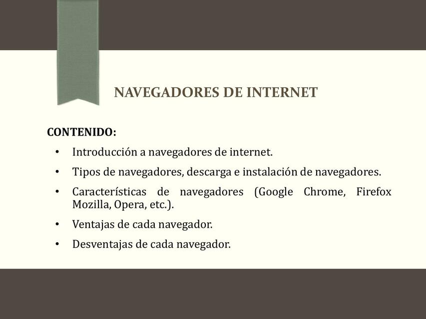 NAVEGADORES DE INTERNET