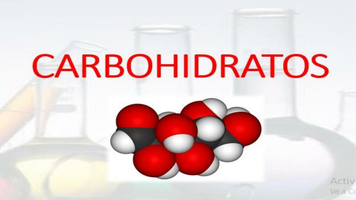 CARBOHIDRATOS