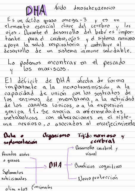 Tarea DHA