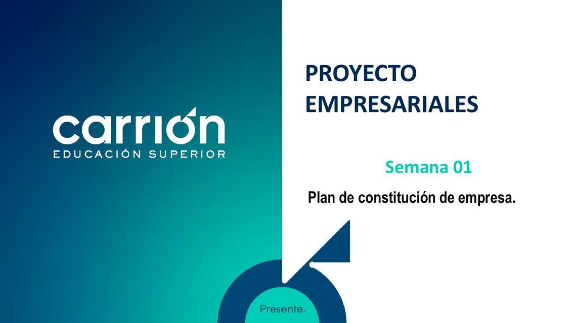 Proyecto empresarial