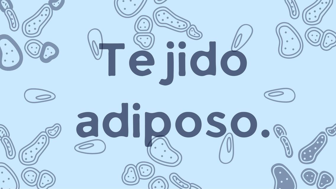 tejido adiposo