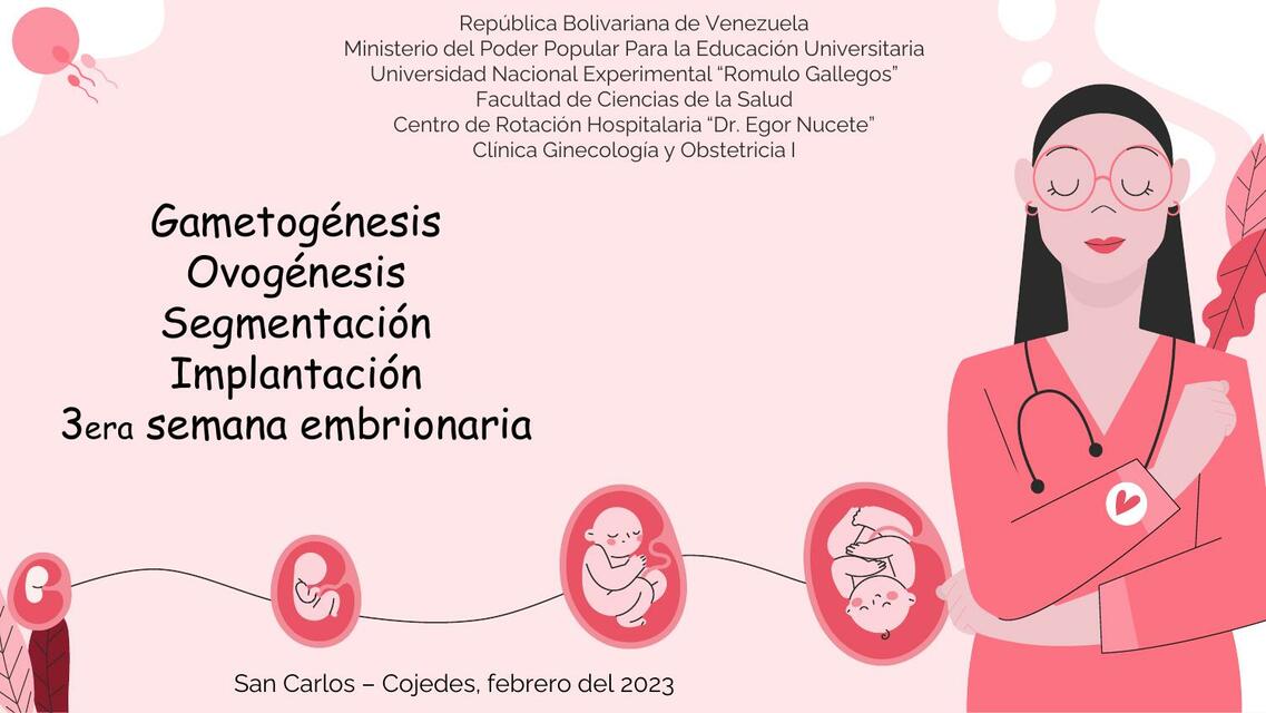 2do Seminario Gametogénesis hasta 3era Semana Embr