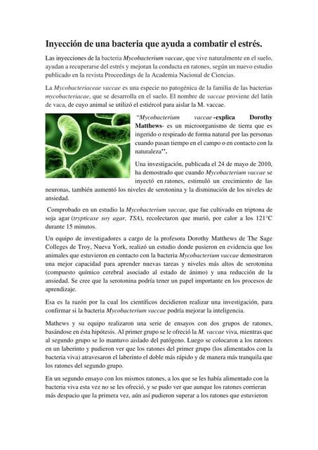 Mycobacterium vancae