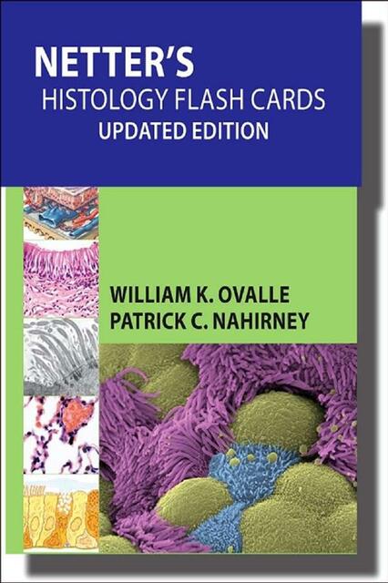 Netters Histology Flash Cards Updated Edition