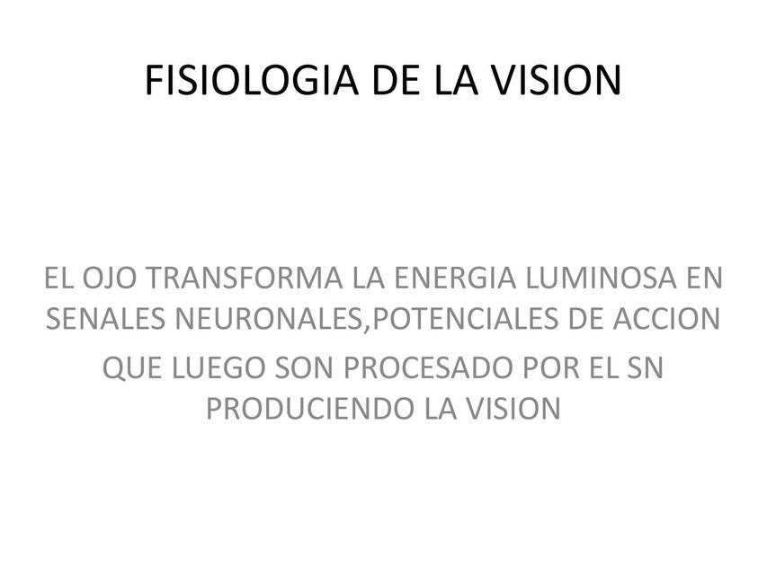 Fisiologia De La Vision Dra Xmedтшюёяуъёяфмёяудёяутёяууёяуфёяухёяуцёяушёяуфёяусёяущ Udocz