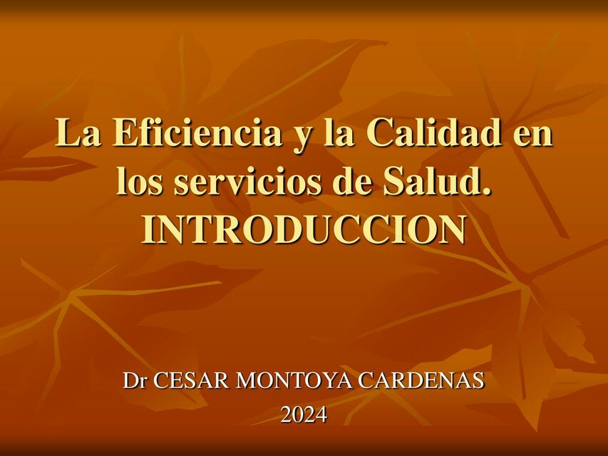 La eficiencia y la calidad en los servicios de salud 