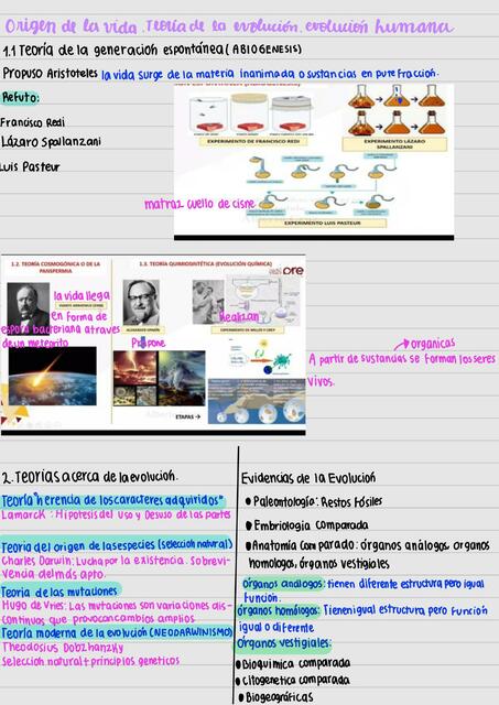 Teoría del origen de la vida | Esther | uDocz