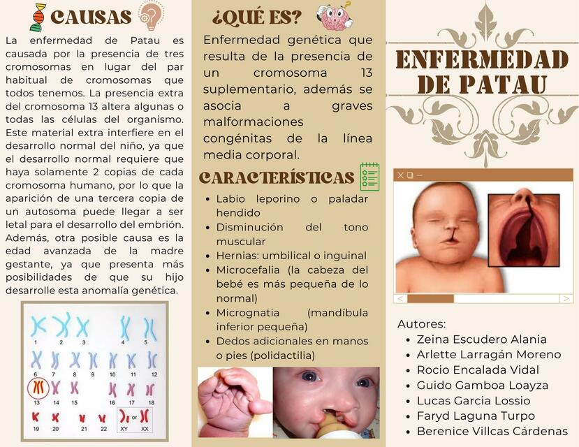 TRÍPTICO DE LA ENFERMEDAD DE PATAU