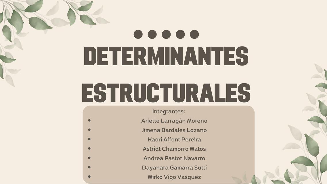 determinantes estructurales