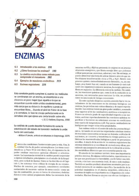 Enzimas 