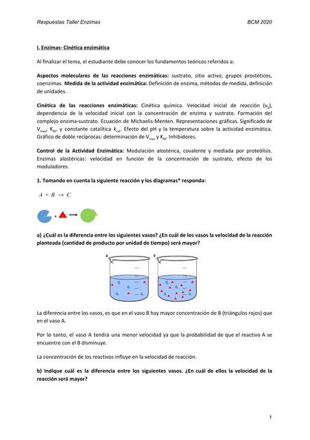 Ejercicios de Enzimas con Soluciones