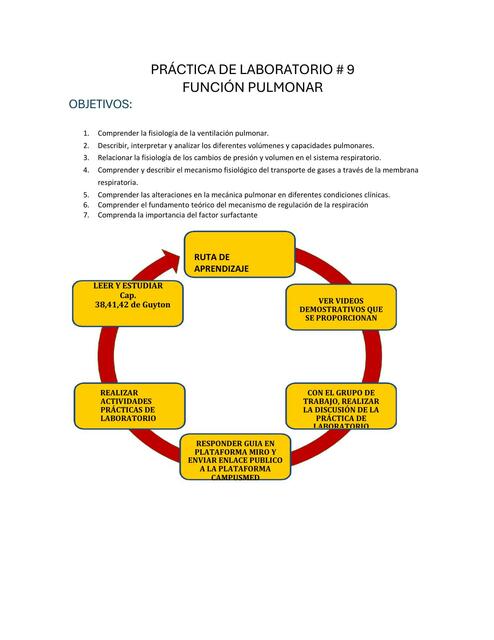 PRÁCTICA DE LABORATORIO 9