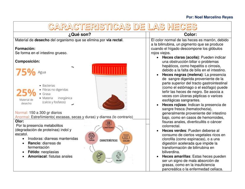 CARACTERISTICAS DE LAS HECES