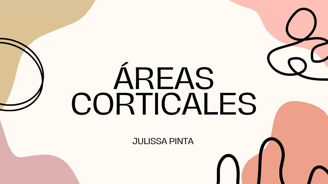 AREAS CORTICALES