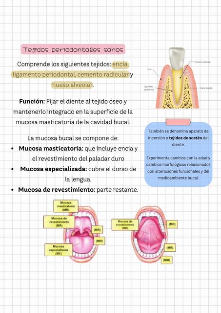 Planeación tx periodontal