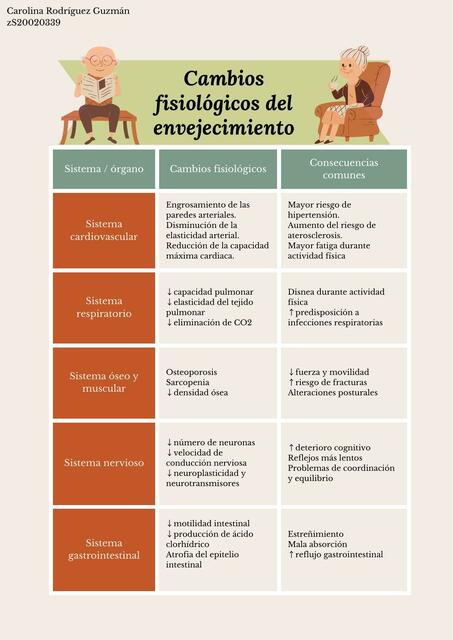 CAMBIOS FISIOLOGICOS DEL ENVEJECIMIENTO