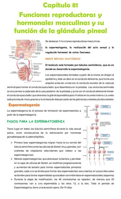 RESUMEN CAP 81 de GUYTOM FUNCIONES REPRODUCTORAS Y