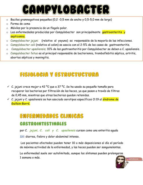 campylobacter 1