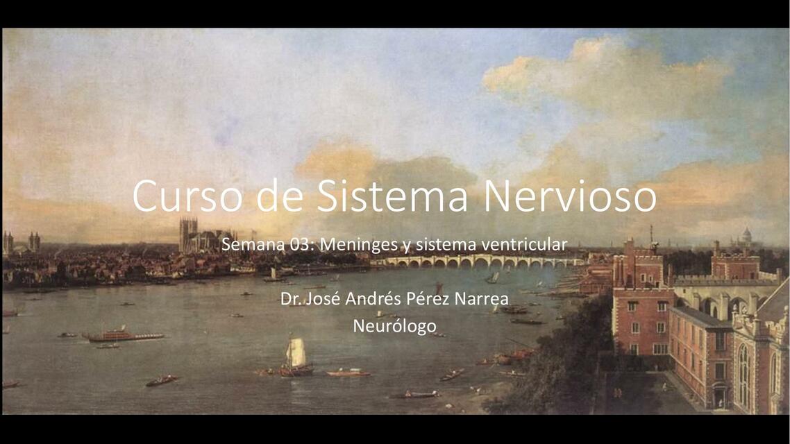 SN 2 Semana 03 Meninges y sistema ventricular fina