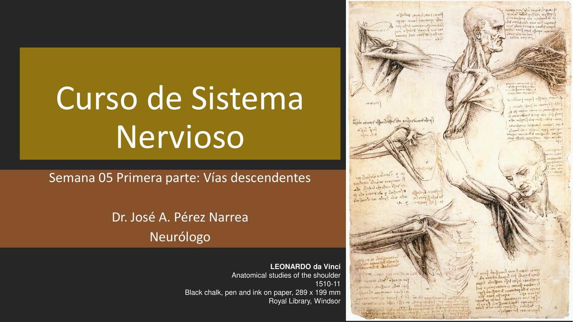 SN 2 Semana 05 1 Vías descendentes v2 con anotacio