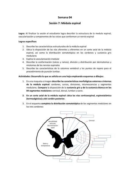 Guía SN 2 Semana 04