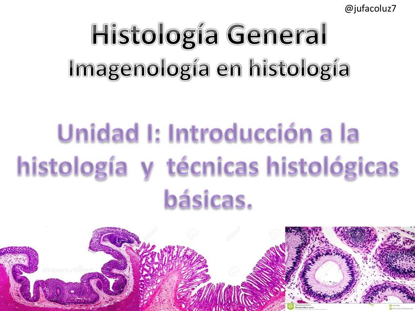 Imagenología en Histología 