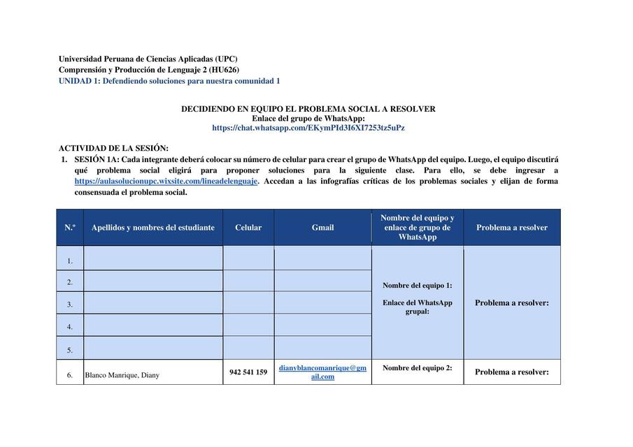 1a Ficha Elección del problema social