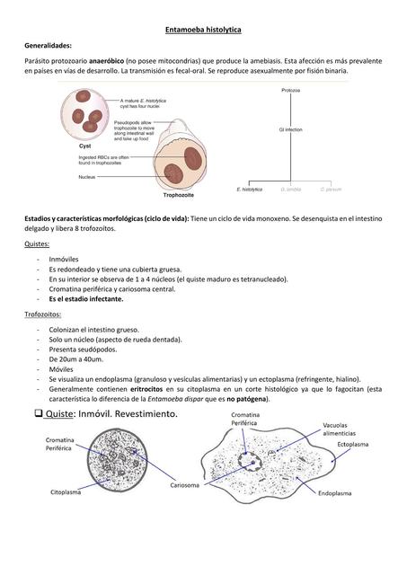 Entamoeba histolytica