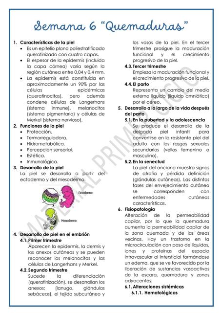 SEMANA 6