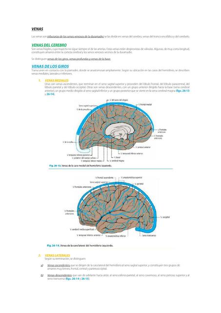 SISTEMA VENOSO DEL SISTEMA NERVIOSO CENTRAL