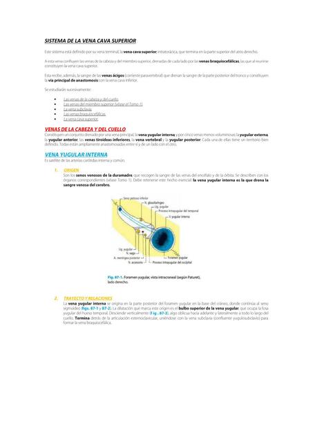 SISTEMA DE LA VENA CAVA SUPERIOR