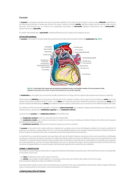 Corazón